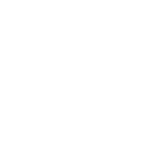 white beyond party icon